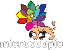 Logo Microscopio con texto